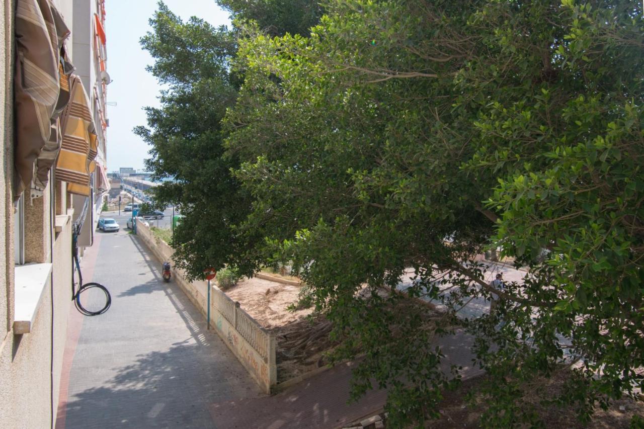 113 Beach And Trees - Alicante Holiday 또레비에하 외부 사진